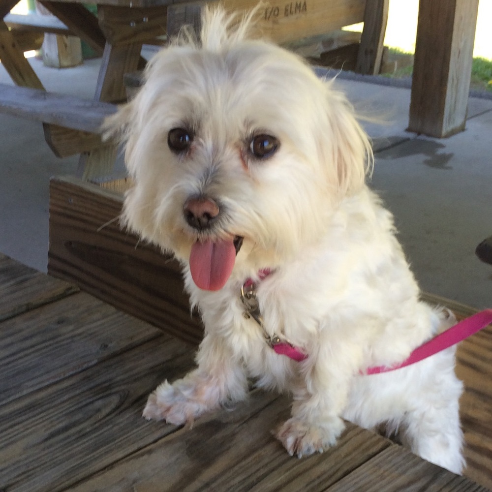 Meet your Posher, Juley